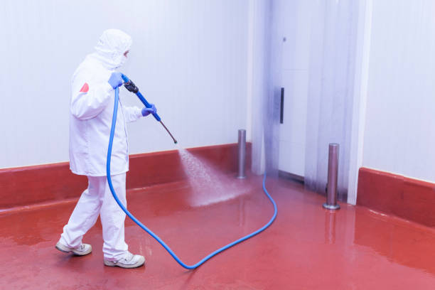 Best Pre-Holiday Cleaning  in Deland, FL